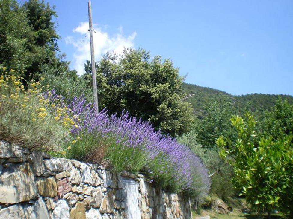 Cottage La Torre Del Pittore Bonassola Exterior foto